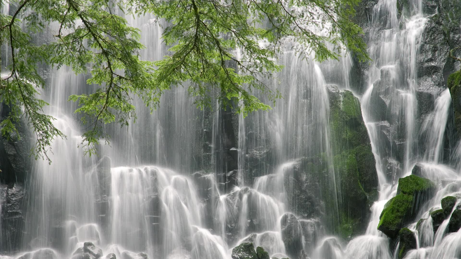 西安汽车配件批发电话地址查询（西安汽车配件厂在哪里）